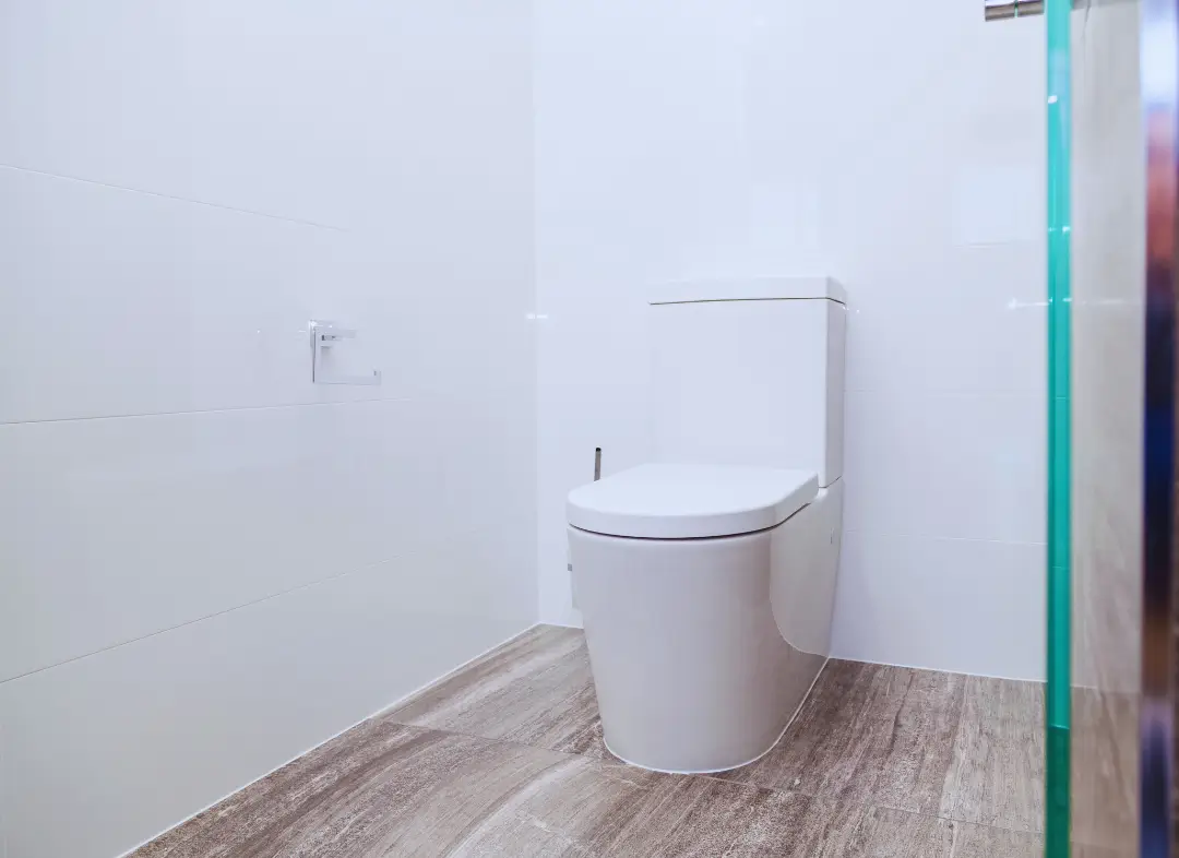 Remplacement de wc Pérols
